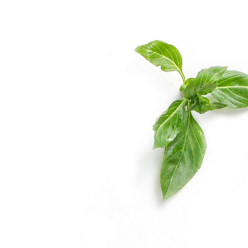 Mama Mia - Thee